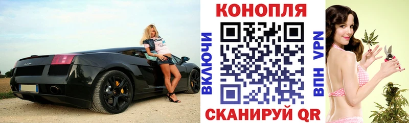 Канабис план  KRAKEN tor  Лесной  как найти закладки 